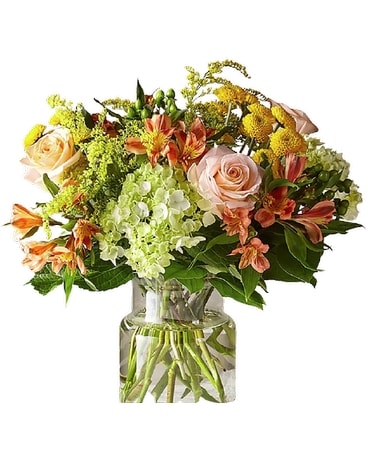 Deluxe size, 16 inches height and 16 inches wide.