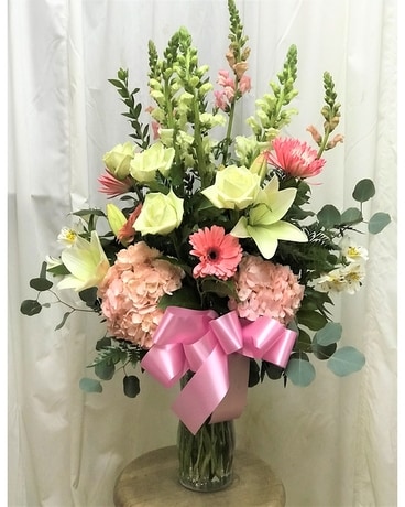 Premium size, inches height and inches wide.