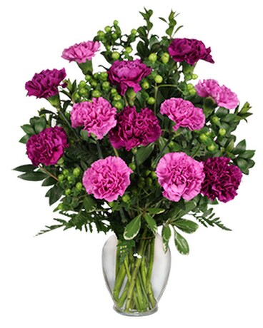 1 dozen Purple/Lavender size, inches height and inches wide.