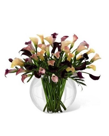 Exquisite size, inches height and inches wide.