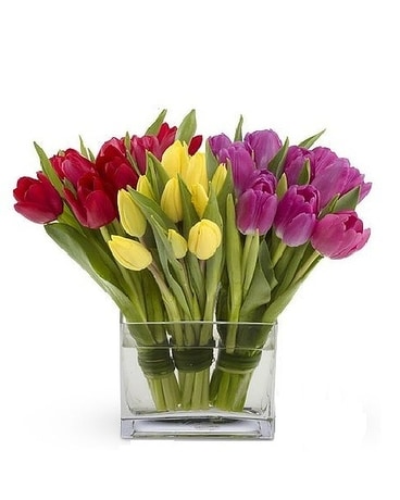 Exquisite size, inches height and inches wide.