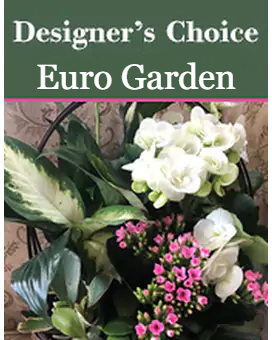 Euro Garden size, inches height and inches wide.
