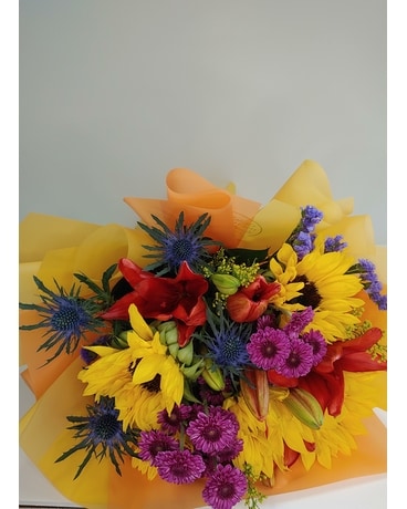 Warm Colors size, inches height and inches wide.