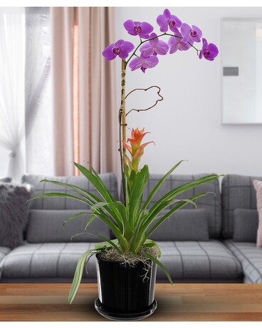 Standard size, inches height and inches wide.