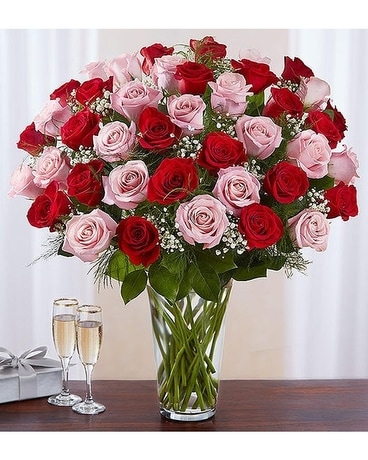 48 Roses size, inches height and inches wide.