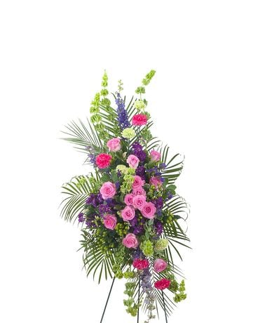 As Shown (Deluxe) size, inches height and inches wide.