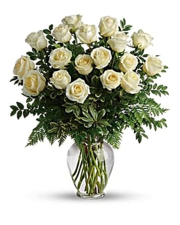 18 White Roses Vased size, inches height and inches wide.