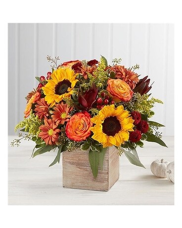 Deluxe size, inches height and inches wide.