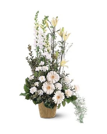 As Shown size, inches height and inches wide.