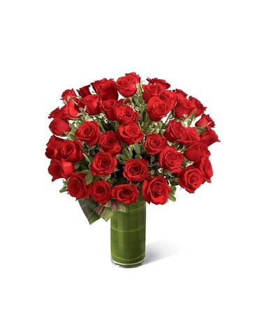48 Roses - Shown size, inches height and inches wide.