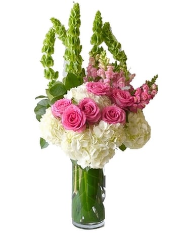 As Shown size, inches height and inches wide.
