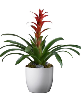 Ceramic size, inches height and inches wide.