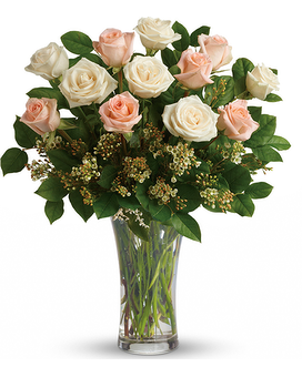 1 Dozen size, inches height and inches wide.