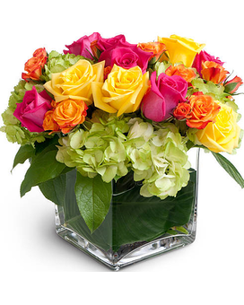 As Shown - 6" Cube size, inches height and inches wide.