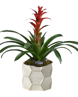 Jabi Pot size, inches height and inches wide.