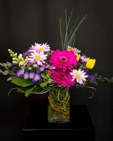 Premium size, inches height and inches wide.