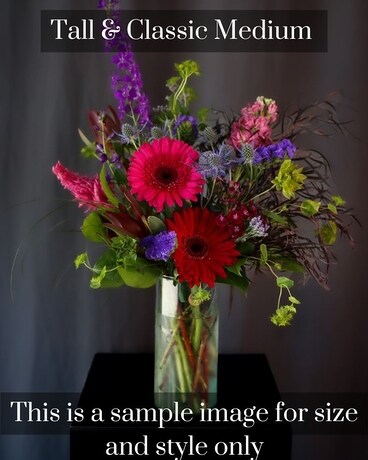 Medium Tall & Classic size, inches height and inches wide.