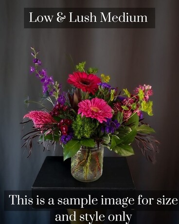 Medium Low & Lush size, inches height and inches wide.
