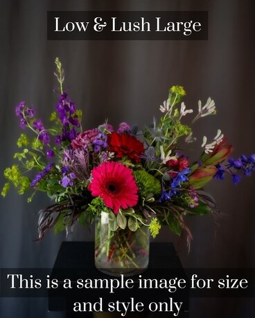 Large Low & Lush size, inches height and inches wide.