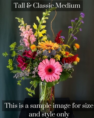 Medium Tall & Classic size, inches height and inches wide.