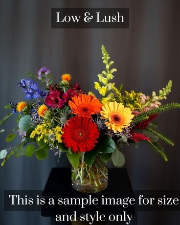 Medium Low & Lush size, inches height and inches wide.