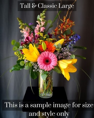 Large Tall & Classic size, inches height and inches wide.