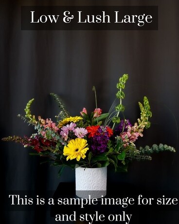 Large Low & Lush size, inches height and inches wide.