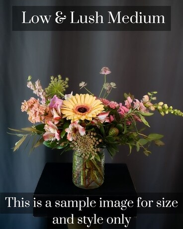 Medium Low & Lush size, inches height and inches wide.