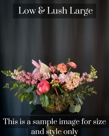 Large Low & Lush size, inches height and inches wide.