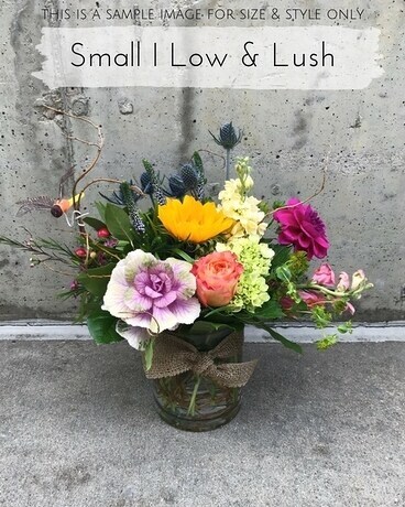 Small Low & Lush size, inches height and inches wide.