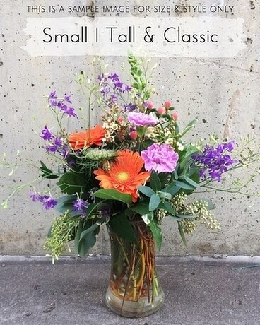 Small Tall & Classic size, inches height and inches wide.