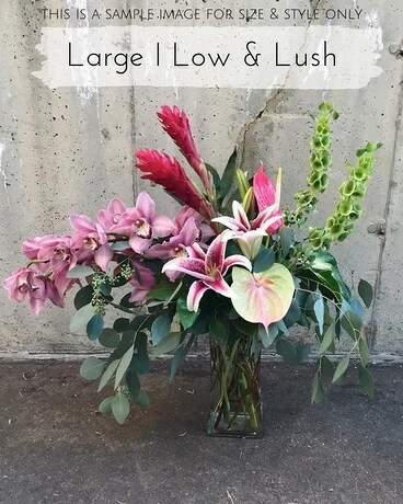 Large Low & Lush size, inches height and inches wide.