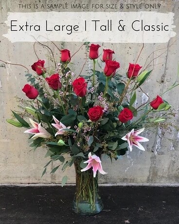 Extra Large Tall & Classic size, inches height and inches wide.