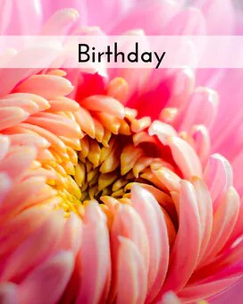 Select Arrangement Size: size, inches height and inches wide.