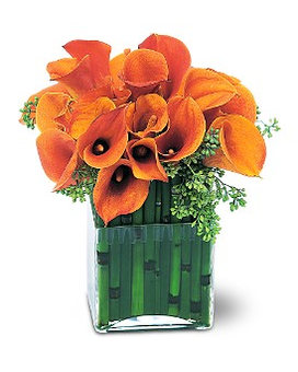Standard size, 12 inches height and 11 inches wide.