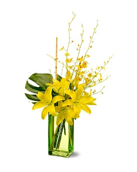 Standard size, 26 inches height and 14 inches wide.