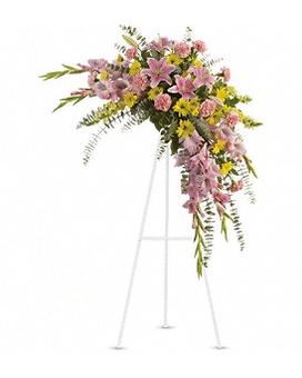 Standard size, 43 inches height and 38 inches wide.