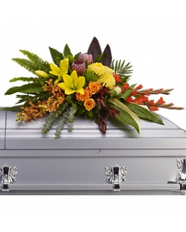 Standard size, 22.5 inches height and 40 inches wide.