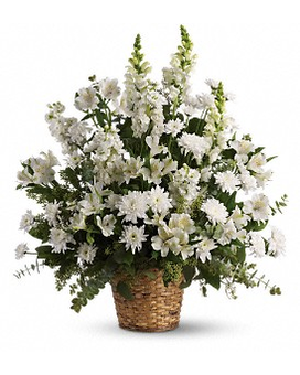 Standard size, 28.5 inches height and 25.5 inches wide.