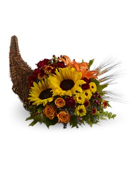 Standard size, 11 inches height and 19 inches wide.