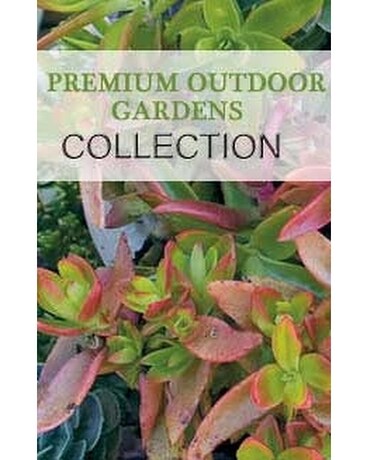 Premium II size, inches height and inches wide.