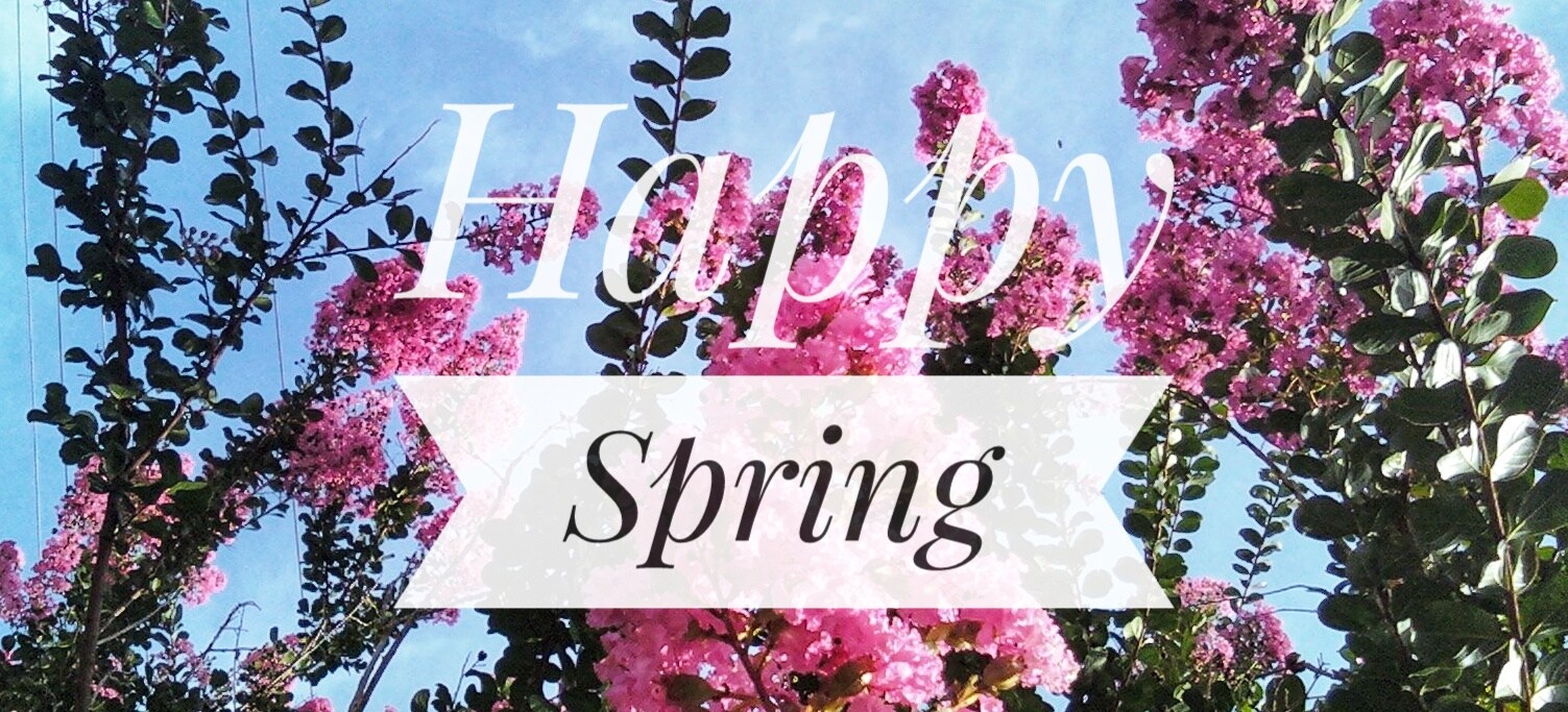 Huntsville Florist Flower Delivery by Albert's Flowers