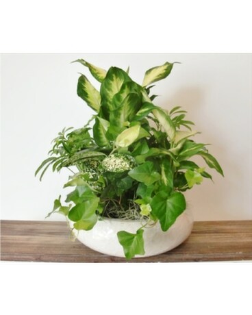 Deluxe-Adds Fresh Cut Flowers size, inches height and inches wide.