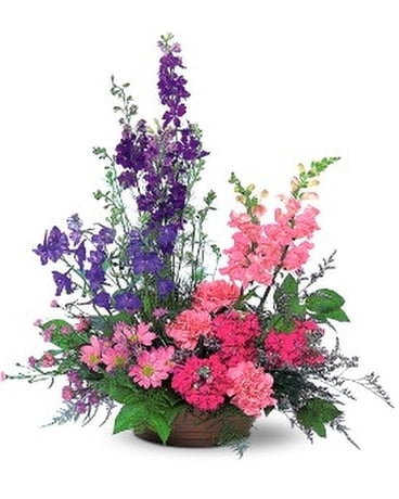 As Shown size, inches height and inches wide.