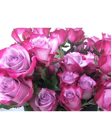 12 with Filler size, inches height and inches wide.