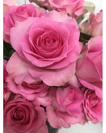 12 roses with greens size, inches height and inches wide.