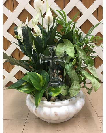 Glass Cross Dish Garden size, inches height and inches wide.