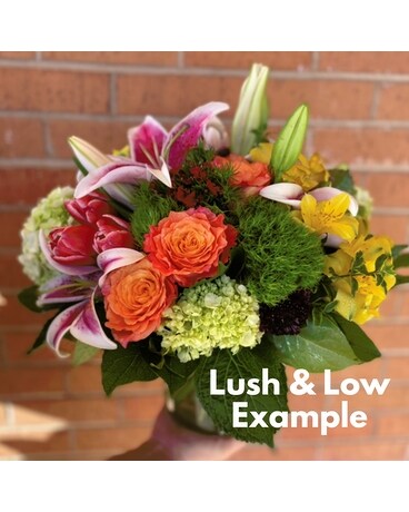Lush & Low size, inches height and inches wide.