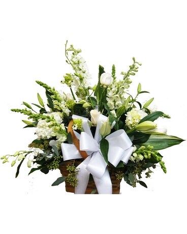 Premium<br>As Shown size, inches height and inches wide.