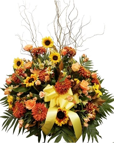 Premium<br>As Shown size, inches height and inches wide.